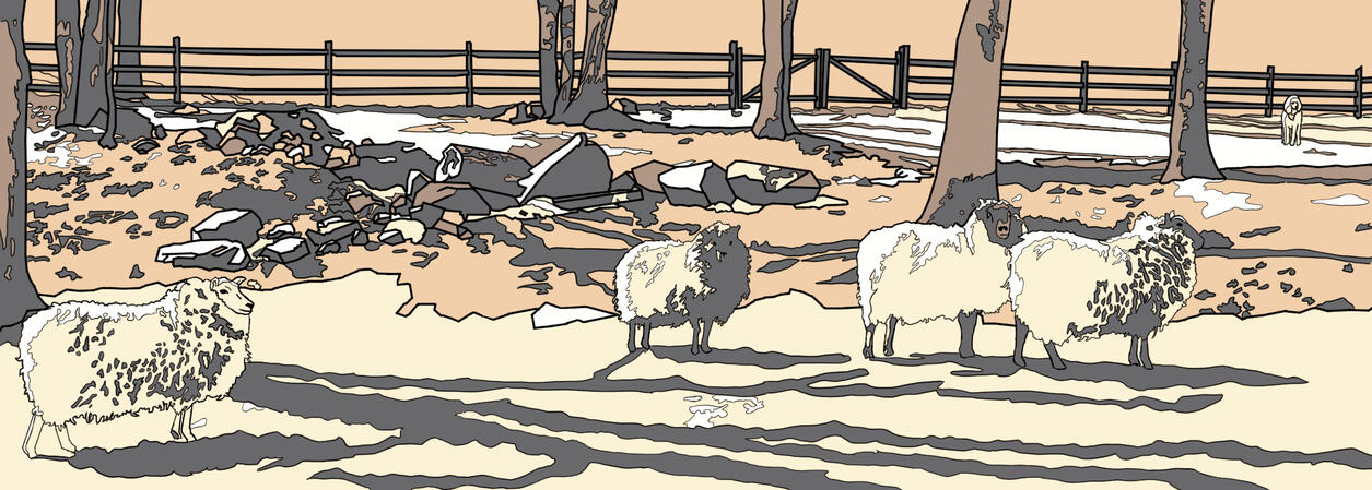 "Sheep" An illustration meant to look like a wood cut in different colours.